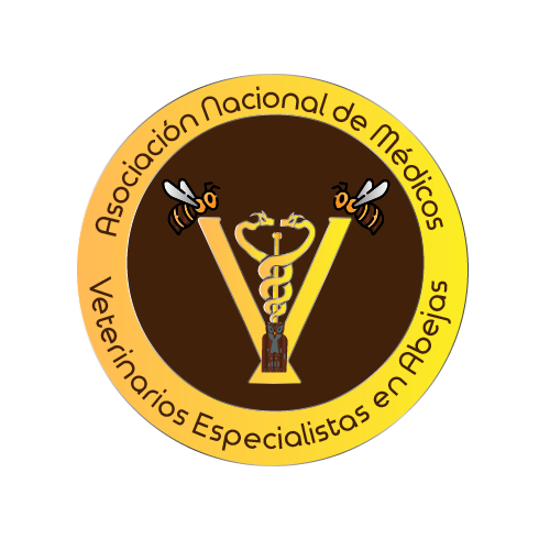 Logo de AMNVEA